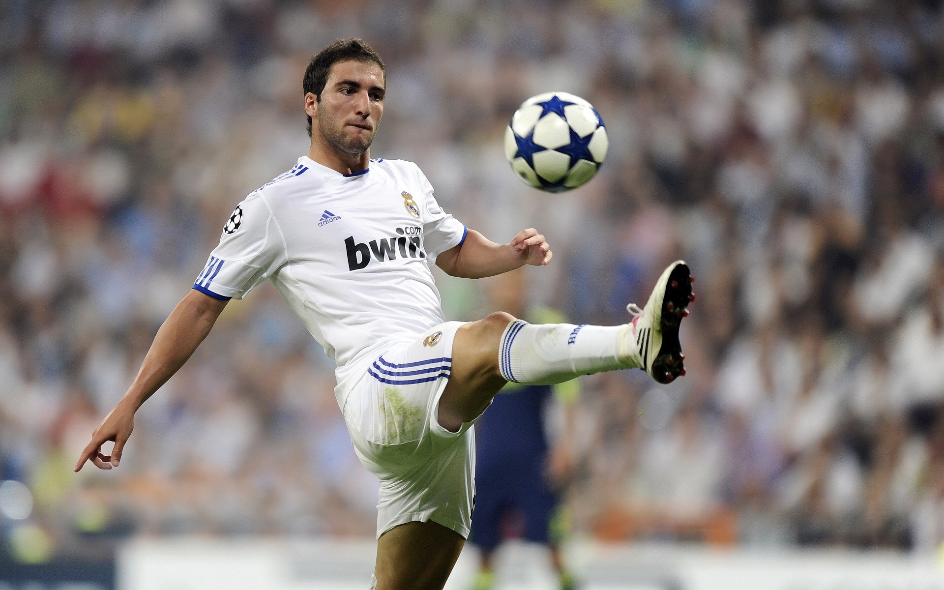 中超第29轮最佳阵容:海港国安泰山各2人,3人书写传奇教练拉莫斯